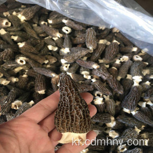 뜨거운 판매 유기 버섯 Morchella 가격